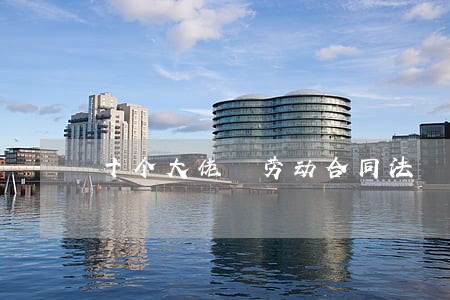 十个大佬 劳动合同法 十个大佬 劳动合同法